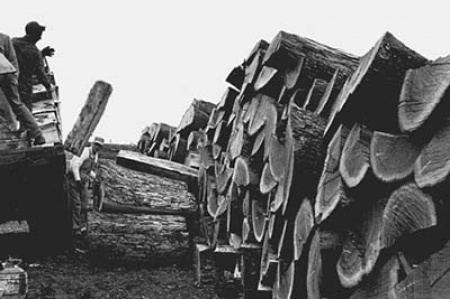 TW Boswell Stave Mills